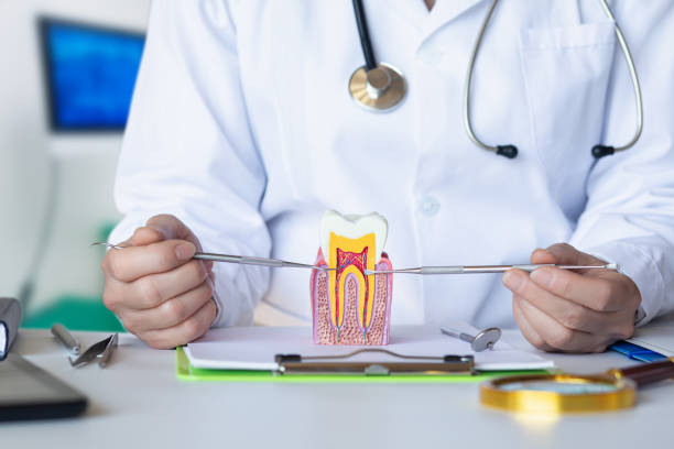 Best Root Canal Emergency Dentist  in Kodi Station, AK
